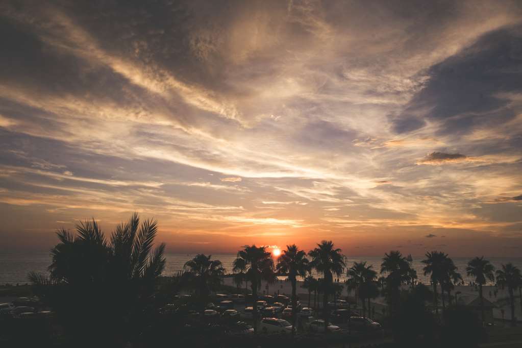 Magnuson Hotel Clearwater Beach Doğa fotoğraf